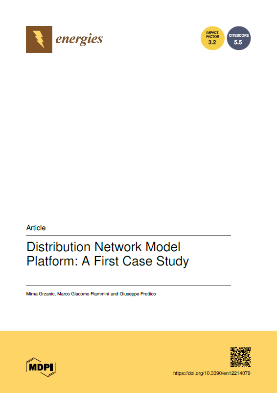 2019 - Distribution Network Model Platform: A First Case Study