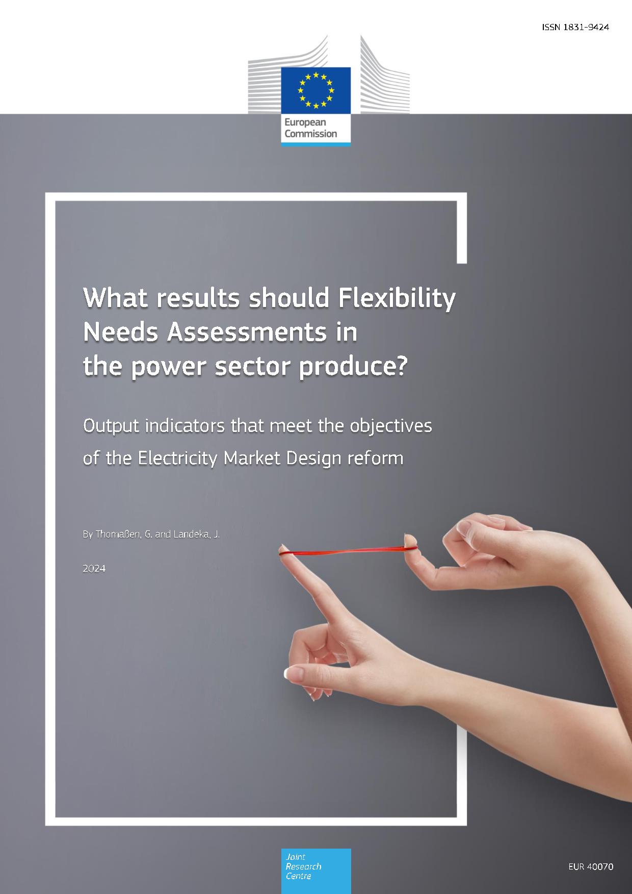 What results should Flexibility Needs Assessments in the power sector produce?